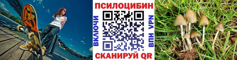 дарк нет наркотические препараты  Абдулино  Псилоцибиновые грибы MAGIC MUSHROOMS 